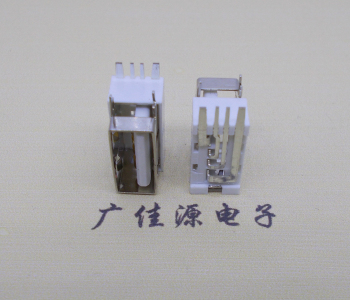 博罗USB侧立式短体10.0尺寸 侧插加宽脚5A大电流插座